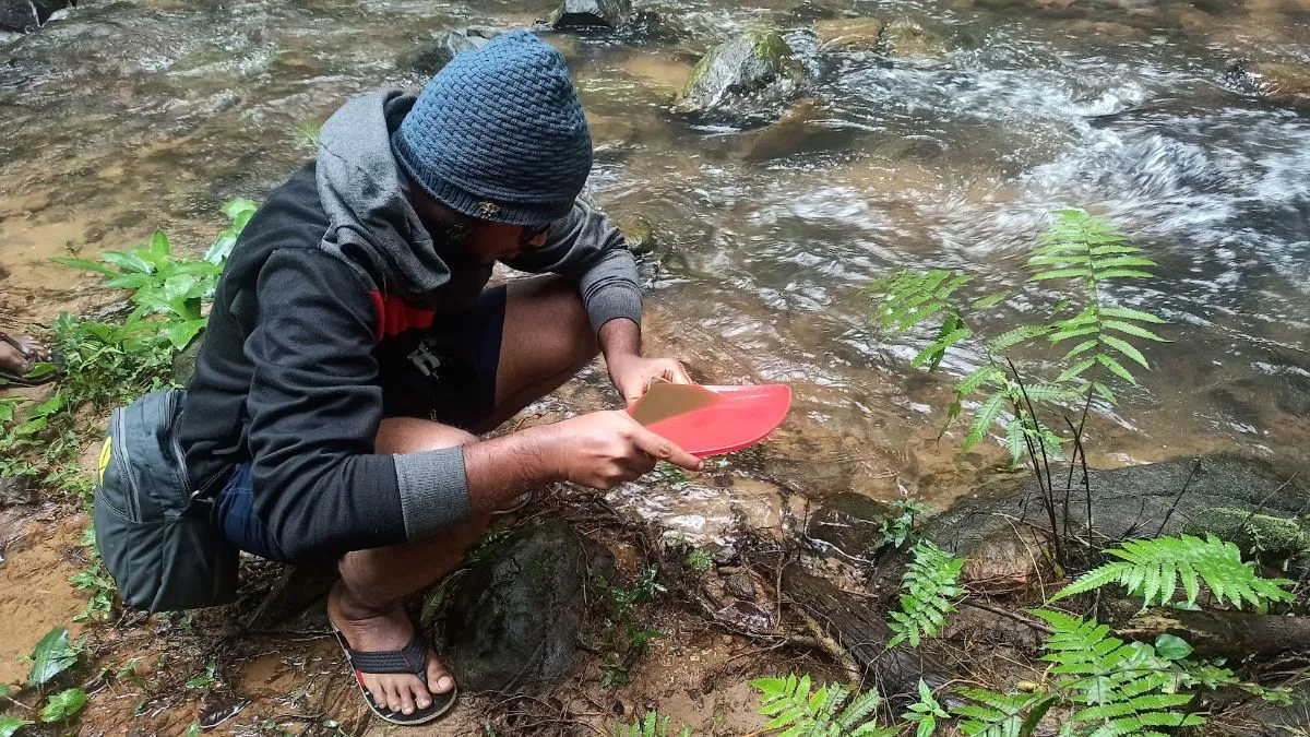 How Teaching About Diatoms Could Inspire a New Generation of River Protectors